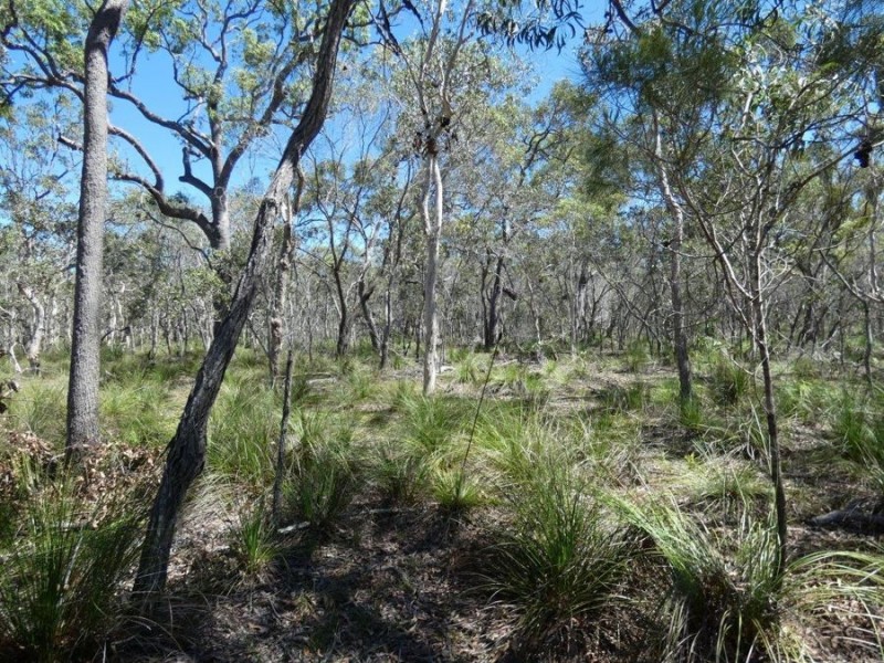 Lot 2 Dale Drive, Rules Beach QLD 4674