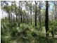 83 Deepwater Road, Deepwater QLD 4674