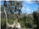 83 Deepwater Road, Deepwater QLD 4674
