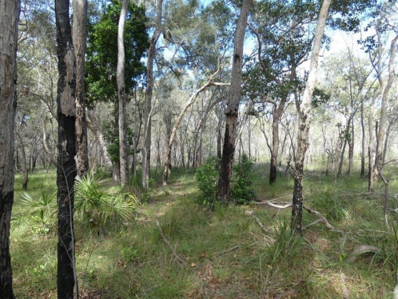 83 Deepwater Road, Deepwater QLD 4674
