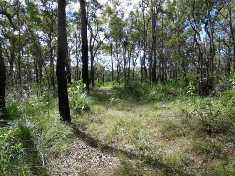 83 Deepwater Road, Deepwater QLD 4674