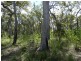 83 Deepwater Road, Deepwater QLD 4674