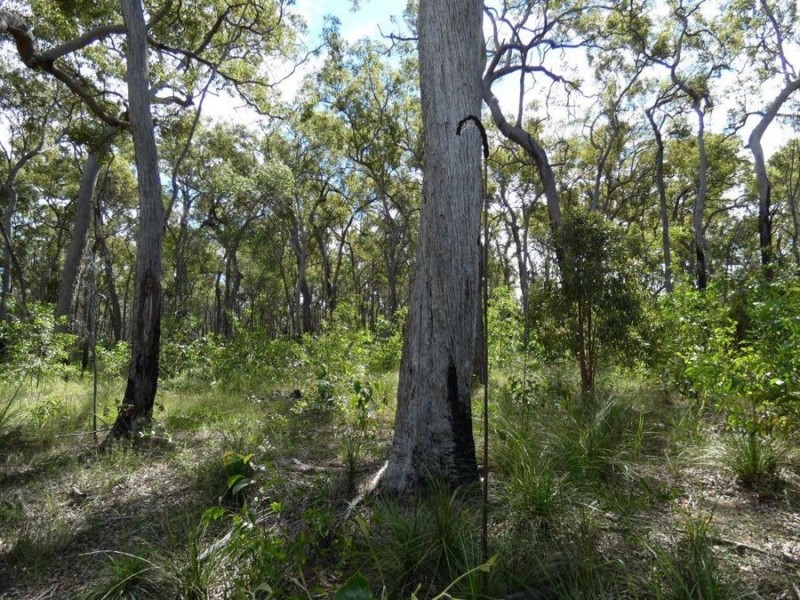 83 Deepwater Road, Deepwater QLD 4674
