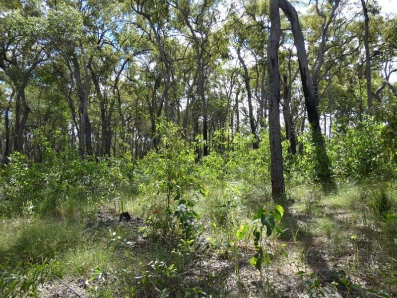 83 Deepwater Road, Deepwater QLD 4674