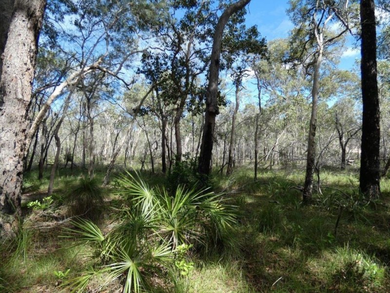 83 Deepwater Road, Deepwater QLD 4674