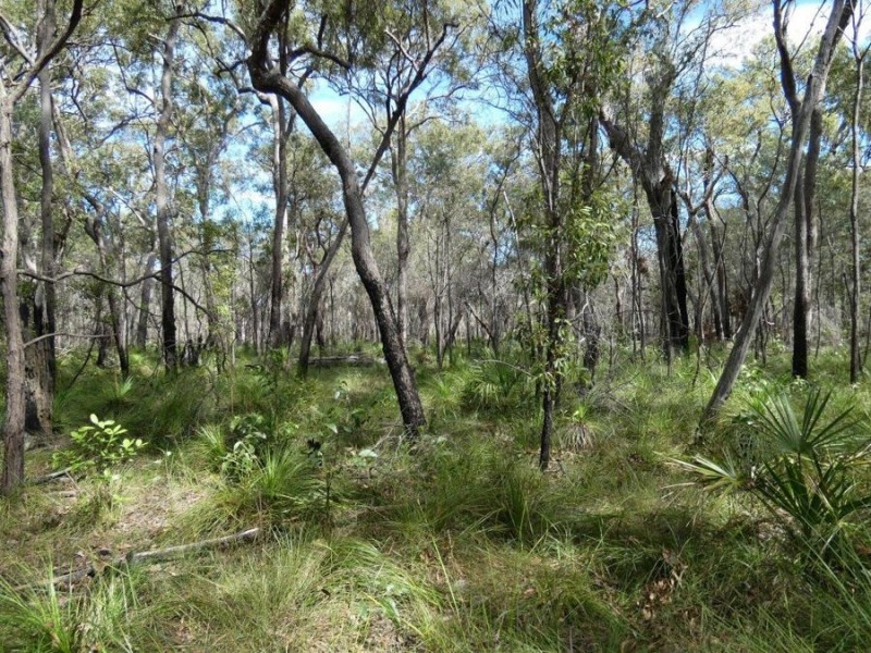 83 Deepwater Road, Deepwater QLD 4674