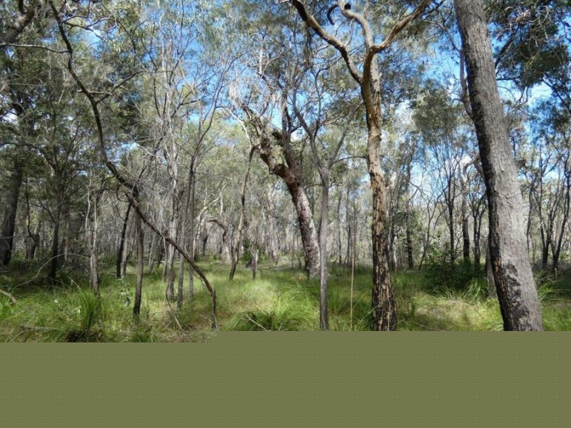83 Deepwater Road, Deepwater QLD 4674