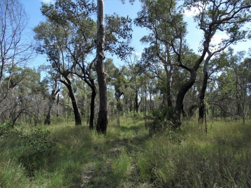 1508 Tableland Road, Mount Maria QLD 4674