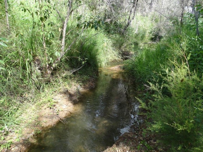 1508 Tableland Road, Mount Maria QLD 4674