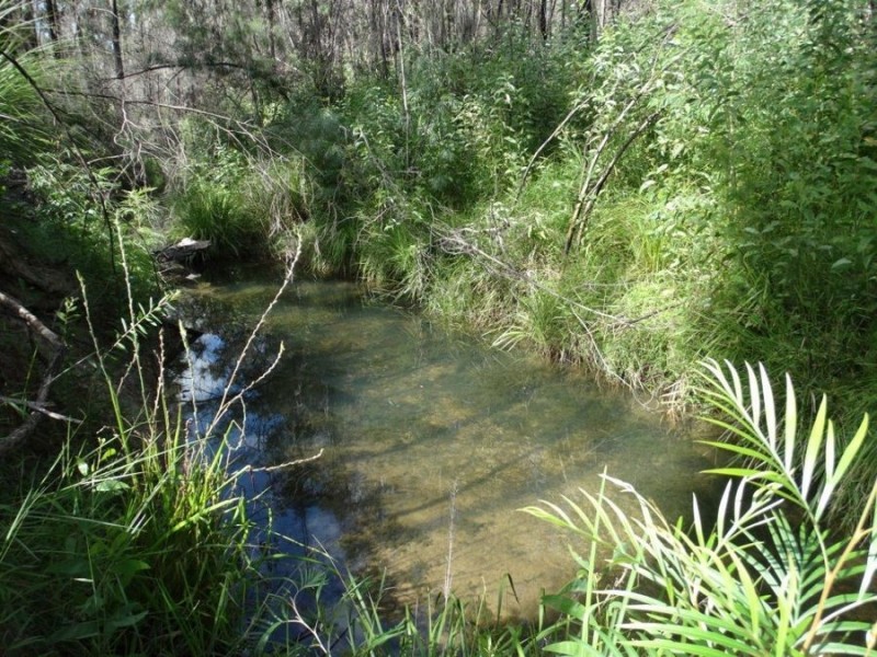 1508 Tableland Road, Mount Maria QLD 4674