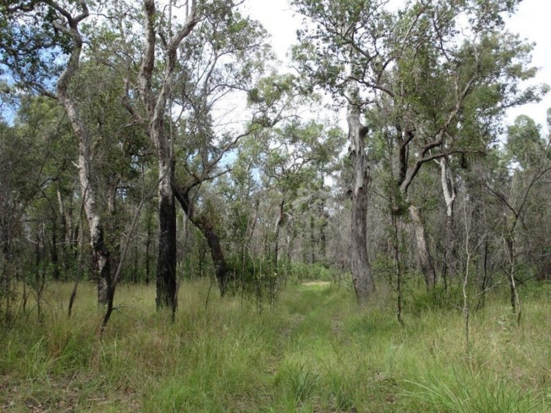 1508 Tableland Road, Mount Maria QLD 4674