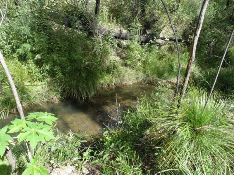 1508 Tableland Road, Mount Maria QLD 4674