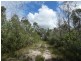 800 Capricornia Drive, Deepwater QLD 4674