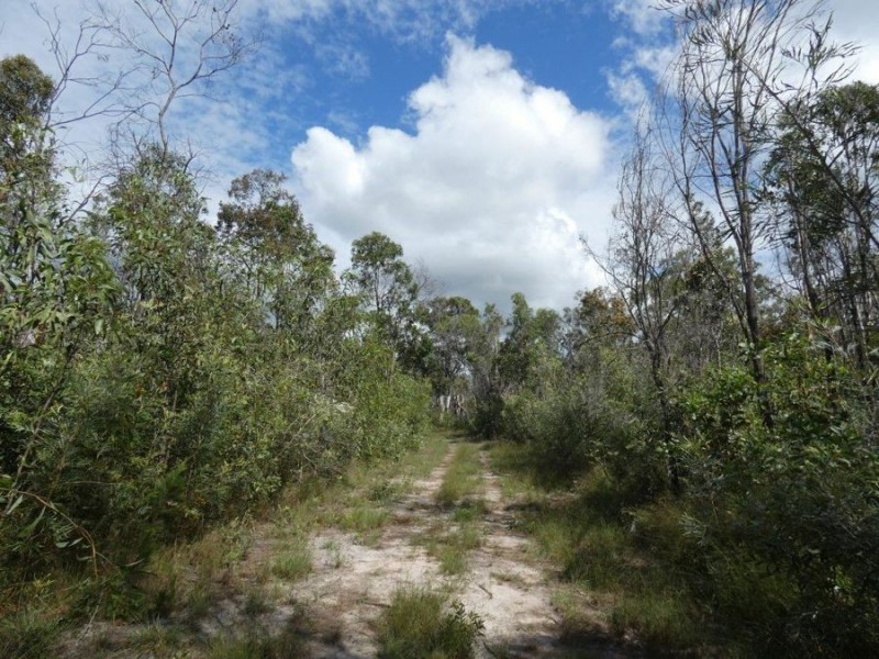 800 Capricornia Drive, Deepwater QLD 4674