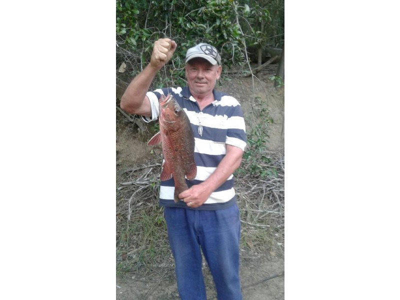 910 Taunton Road, Taunton QLD 4674