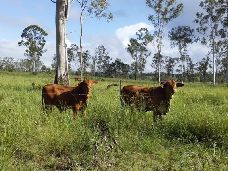 910 Taunton Road, Taunton QLD 4674