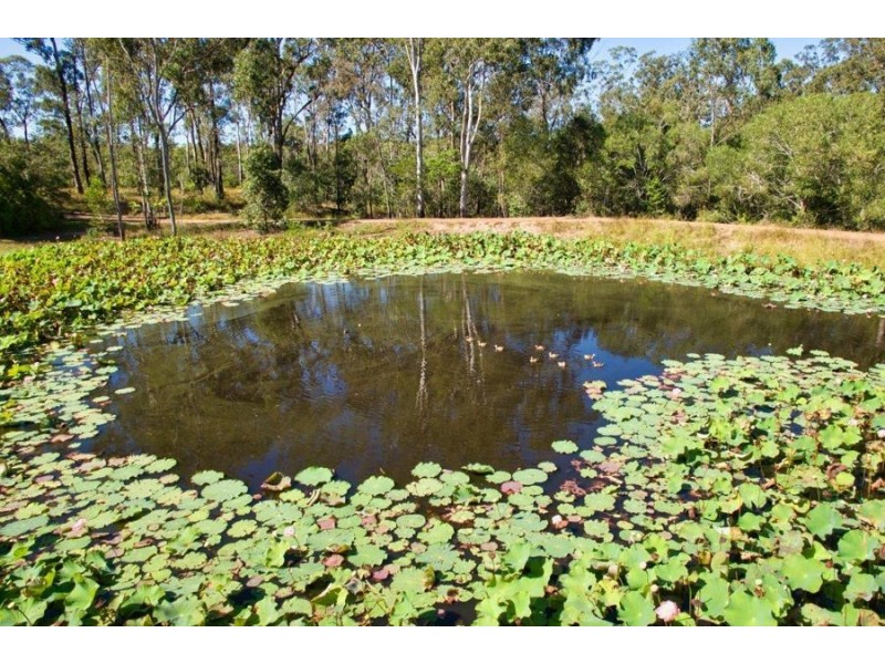 910 Taunton Road, Taunton QLD 4674