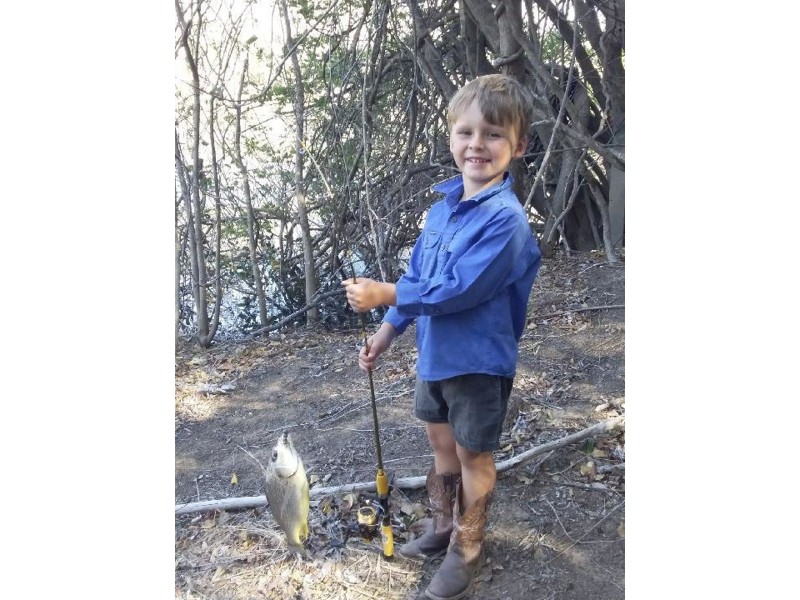 910 Taunton Road, Taunton QLD 4674