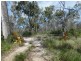711 Capricornia Drive, Deepwater QLD 4674