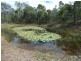 711 Capricornia Drive, Deepwater QLD 4674