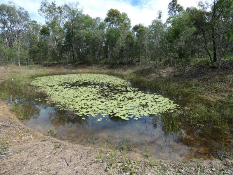 711 Capricornia Drive, Deepwater QLD 4674