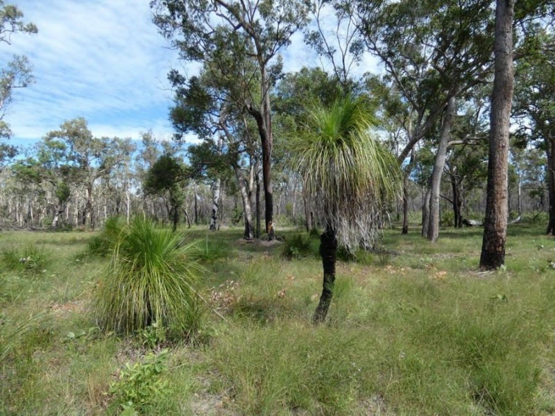 711 Capricornia Drive, Deepwater QLD 4674