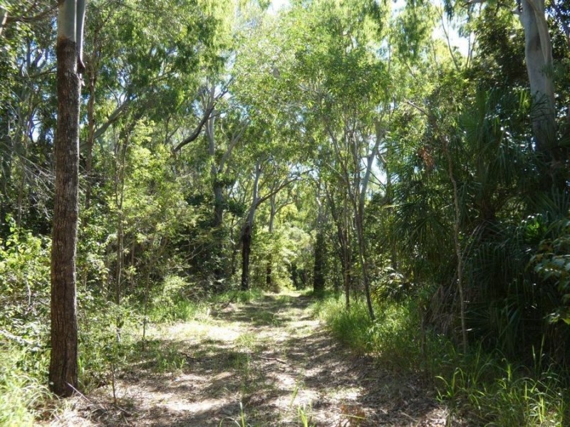 544 Fingerfield Road, Deepwater QLD 4674