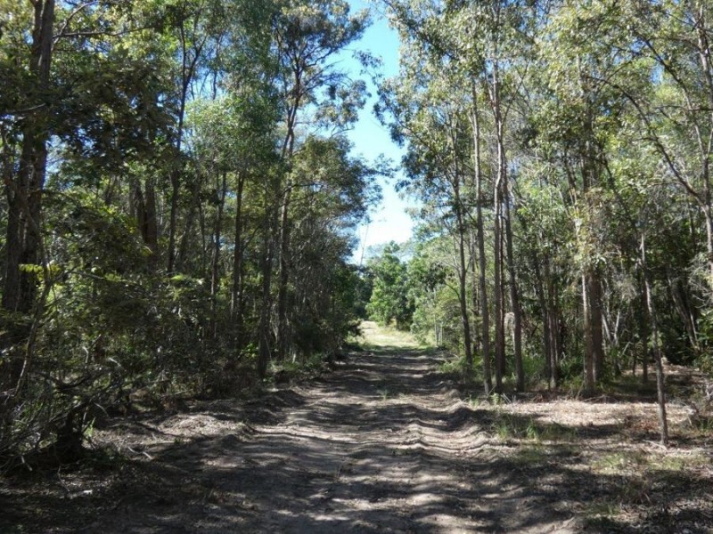 544 Fingerfield Road, Deepwater QLD 4674