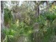 544 Fingerfield Road, Deepwater QLD 4674