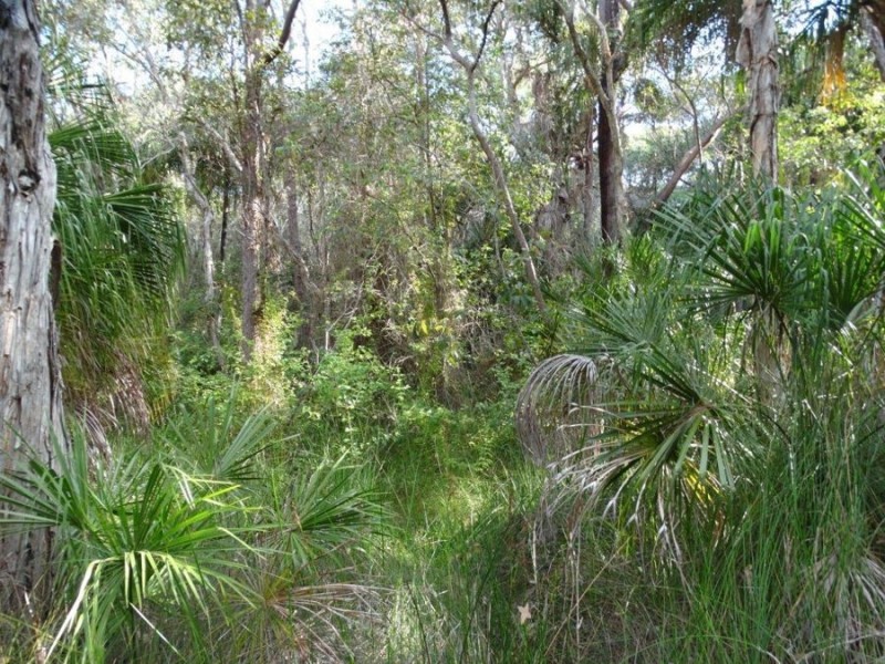 544 Fingerfield Road, Deepwater QLD 4674