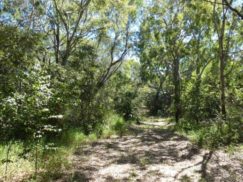 544 Fingerfield Road, Deepwater QLD 4674