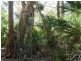 544 Fingerfield Road, Deepwater QLD 4674