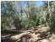 544 Fingerfield Road, Deepwater QLD 4674