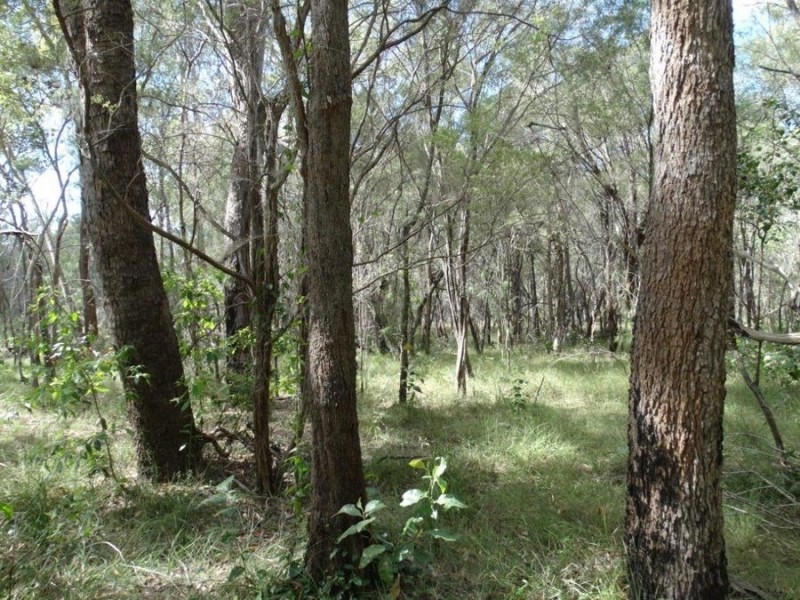 Lot 96 Pacific Drive, Deepwater QLD 4674