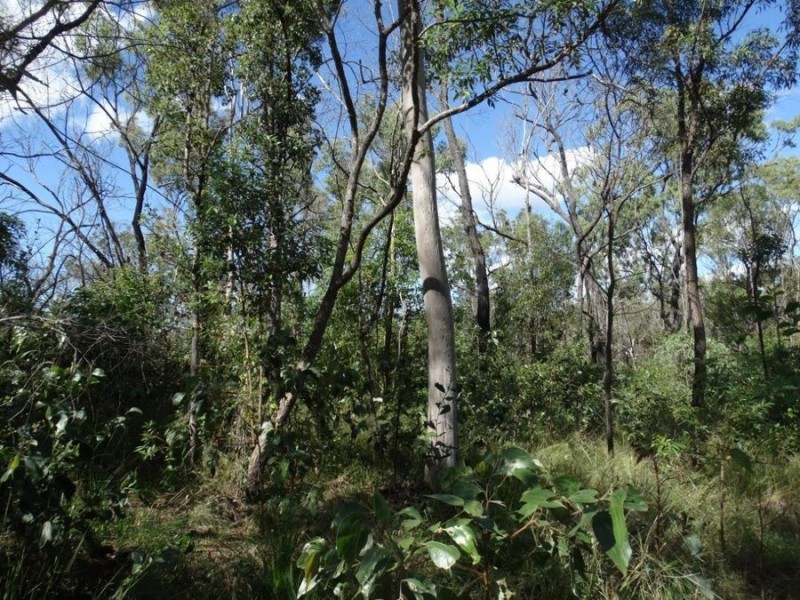 Lot 96 Pacific Drive, Deepwater QLD 4674