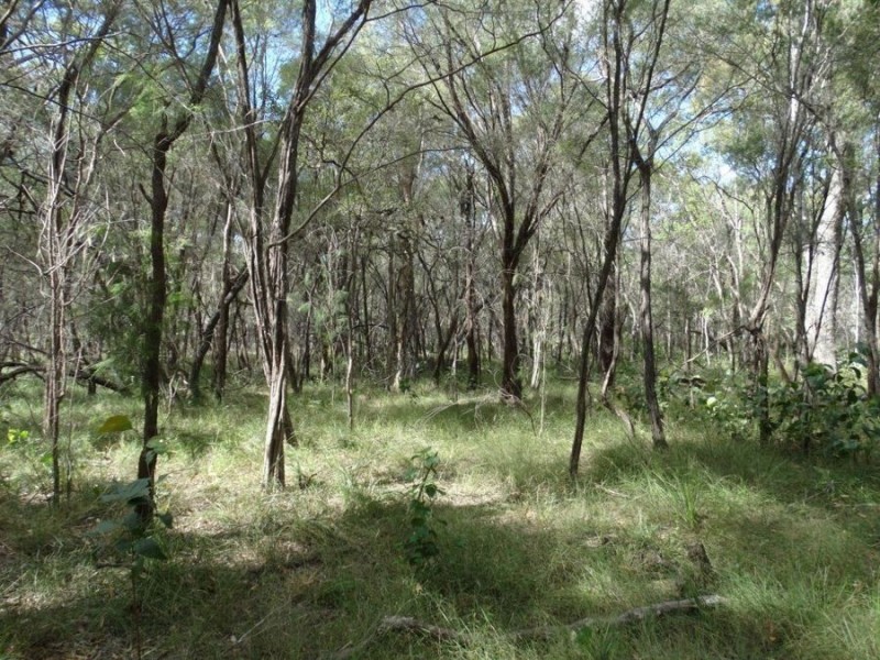 Lot 96 Pacific Drive, Deepwater QLD 4674