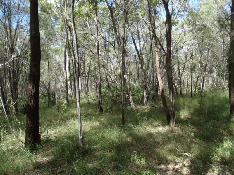Lot 96 Pacific Drive, Deepwater QLD 4674