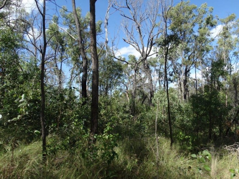 Lot 96 Pacific Drive, Deepwater QLD 4674