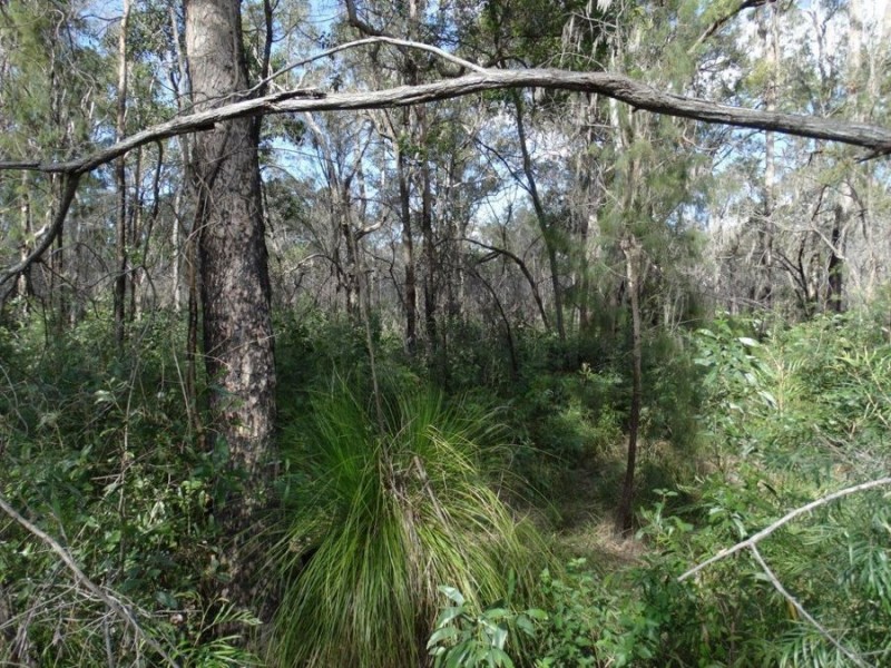 Lot 96 Pacific Drive, Deepwater QLD 4674