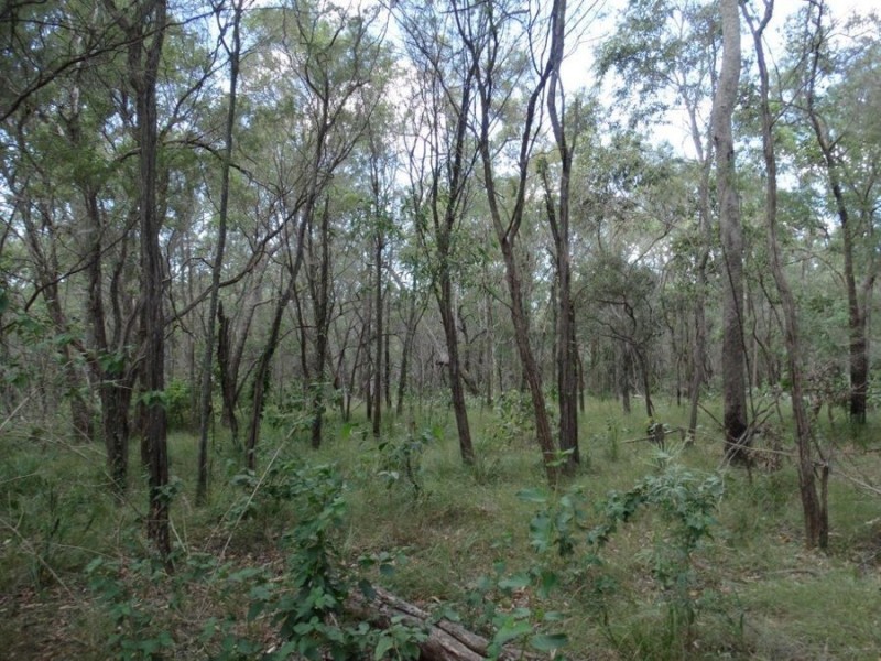 Lot 96 Pacific Drive, Deepwater QLD 4674