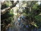 319 Taunton Road, Euleilah QLD 4674