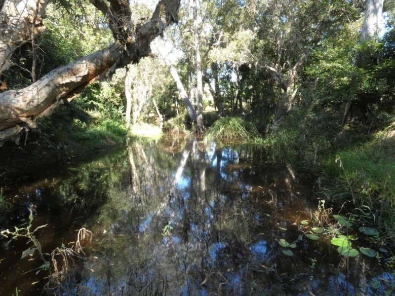 319 Taunton Road, Euleilah QLD 4674