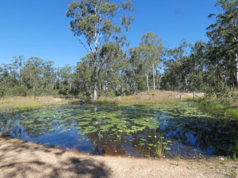 319 Taunton Road, Euleilah QLD 4674