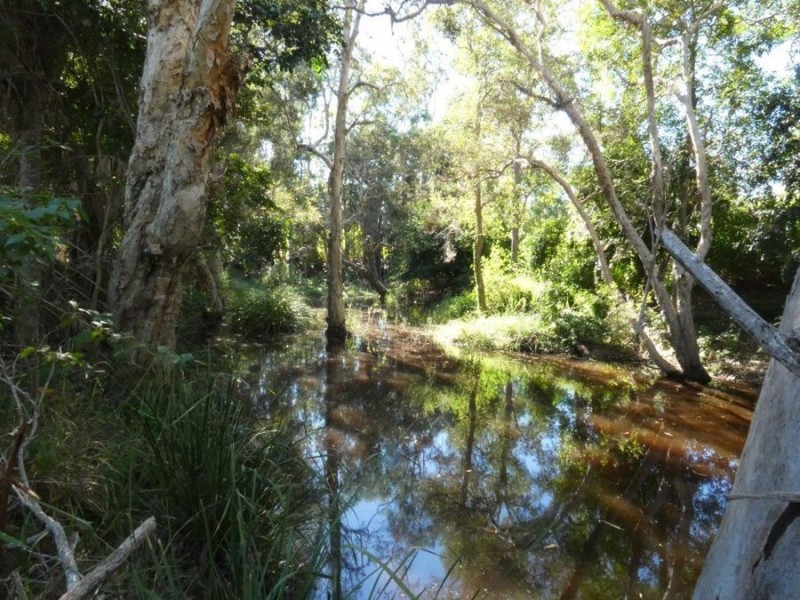 319 Taunton Road, Euleilah QLD 4674