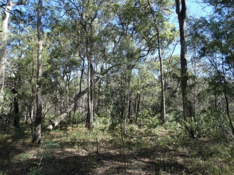 21 Sorensen Road, Baffle Creek QLD 4674