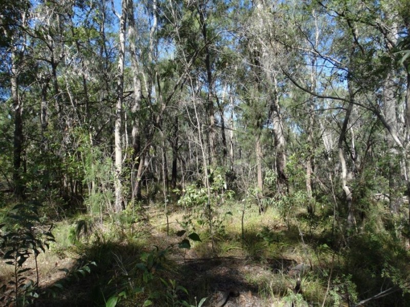 21 Sorensen Road, Baffle Creek QLD 4674