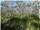 Lot 4 Fingerfield Road, Rules Beach QLD 4674