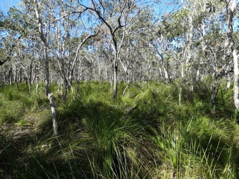 Lot 4 Fingerfield Road, Rules Beach QLD 4674