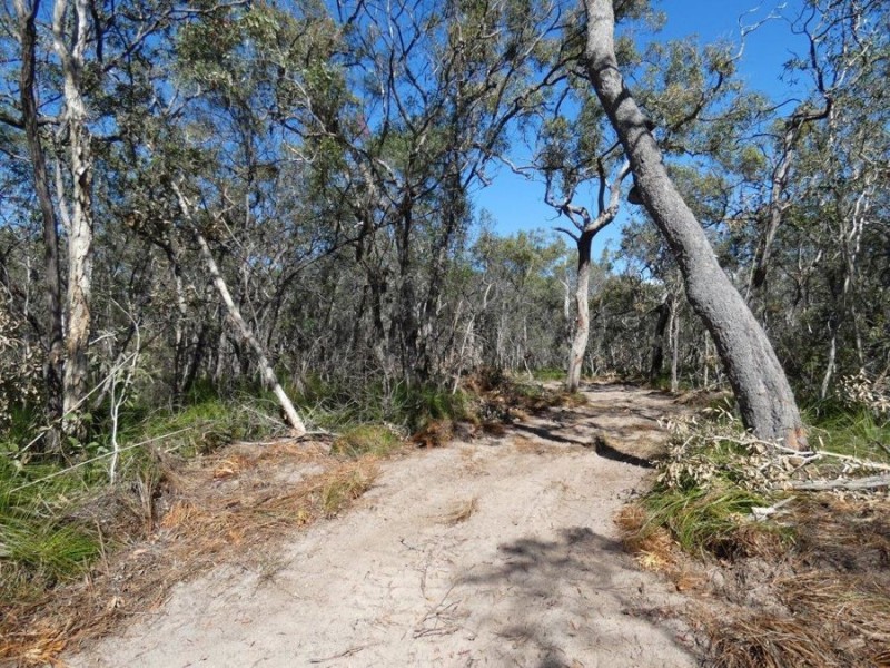 Lot 4 Fingerfield Road, Rules Beach QLD 4674