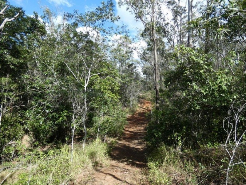 Lot 4 Neils Road, Rosedale QLD 4674